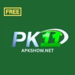 PK11 Game