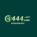 C444 Game